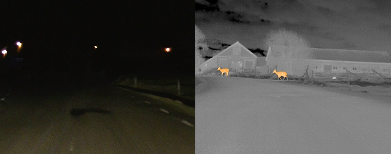 Illustration for article titled Why Nightvision In Cars Isn't Totally Useless